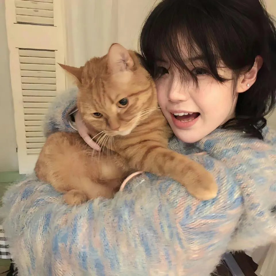加菲猫和他的朋友们第三季 在线观看